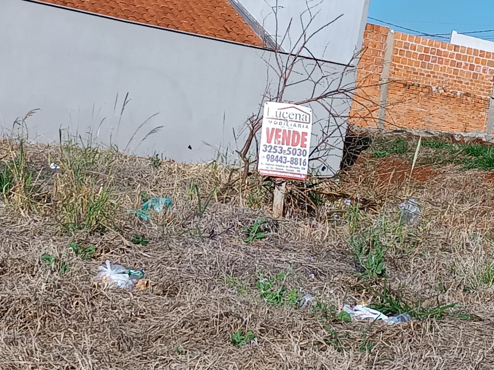 lotejdeuropa2ruamonaco0003.jpeg