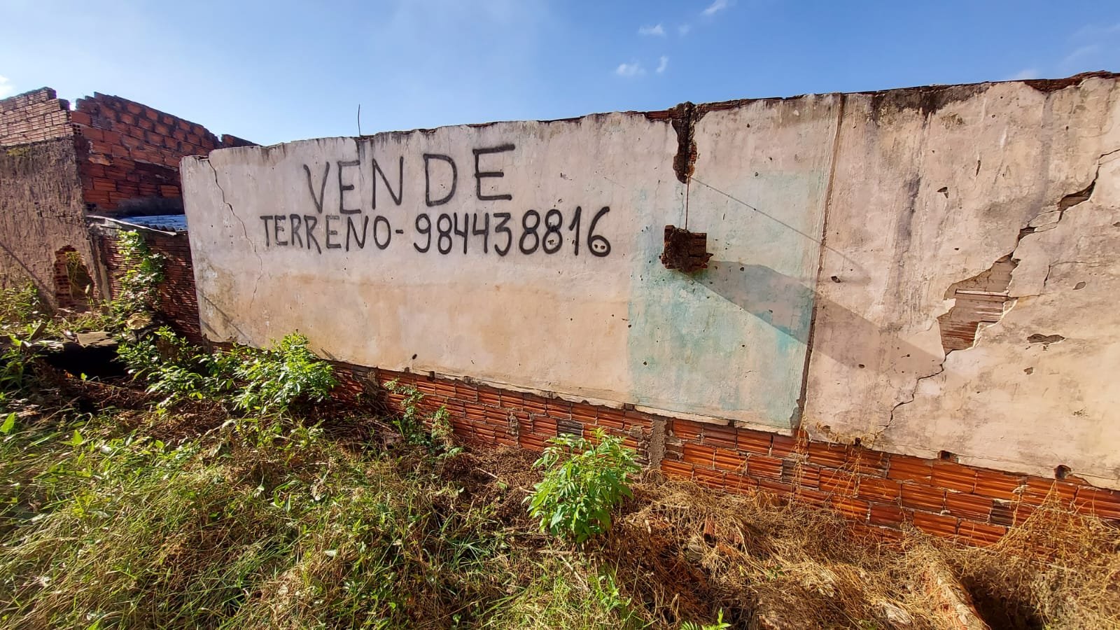 rivieirabartolomeubuenodasilva4250004.jpeg